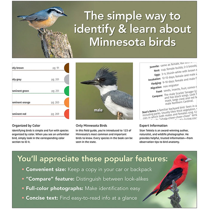 Birds of Minnesota