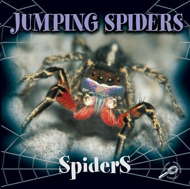 Jumping Spiders