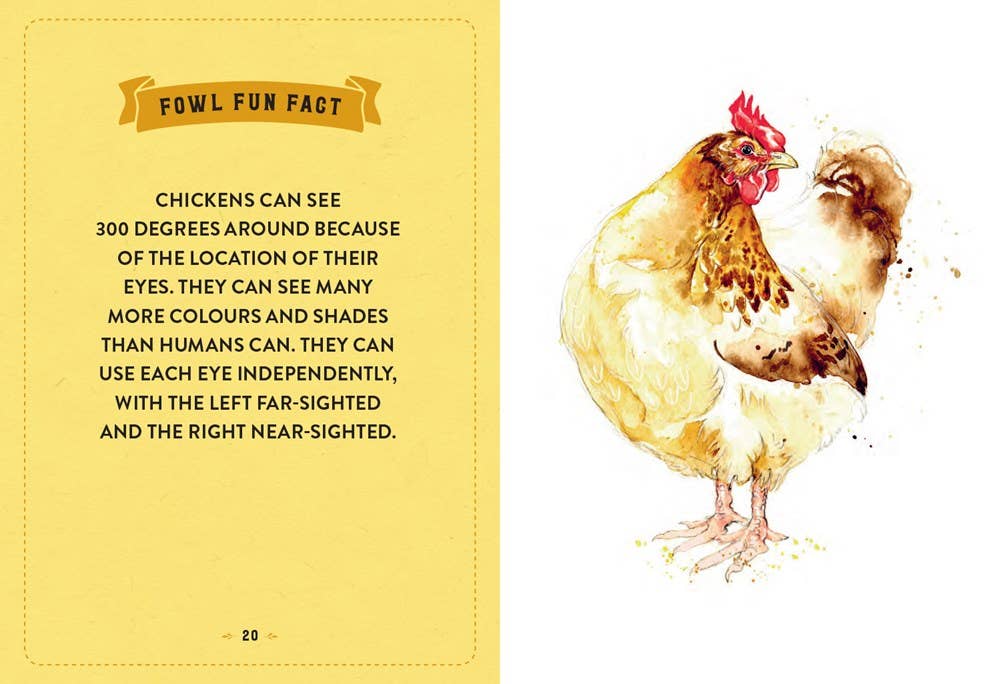 Little Book of Chickens