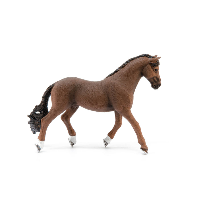 Trakehner Gelding