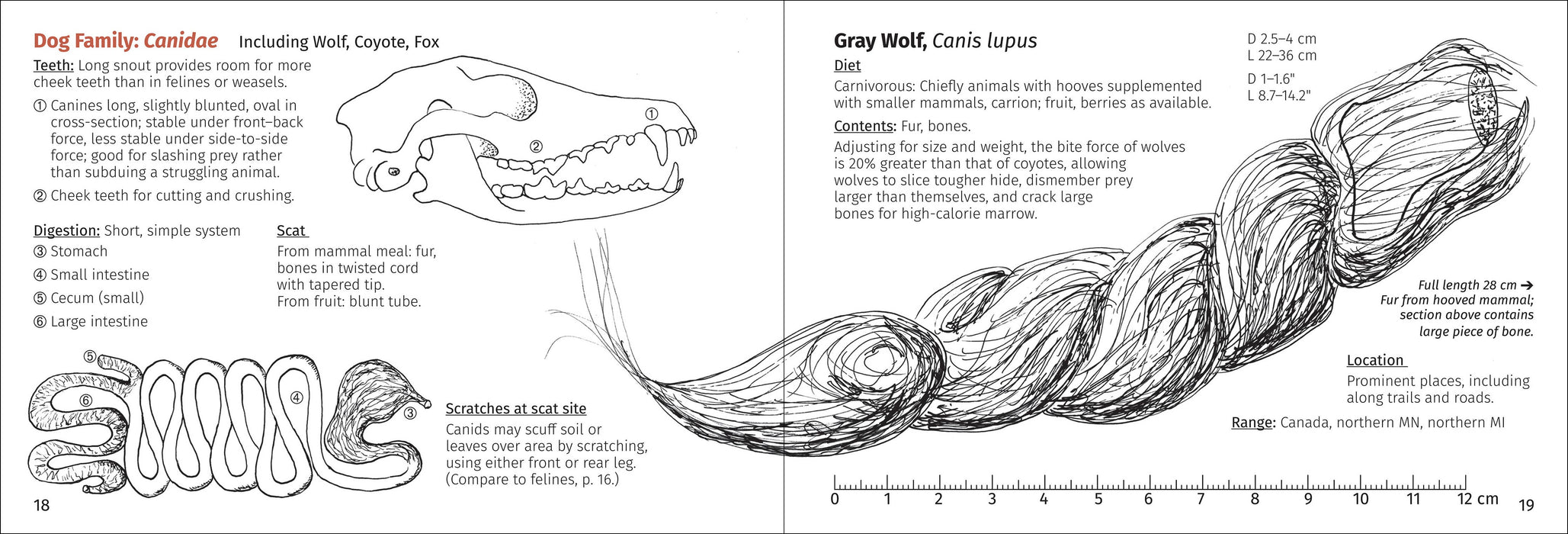 Scat Finder 2nd Edition