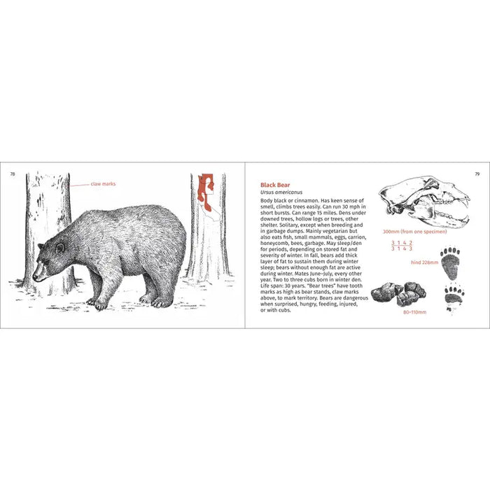 Mammals Finder - Pacific