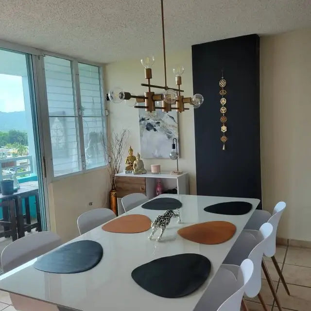 Leather Placemats for Table, Heat resistant Nonslip: Brown