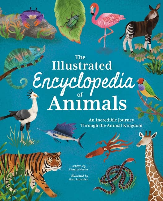 Illustrated Encyclopedia Of Animals: Incredible Journey
