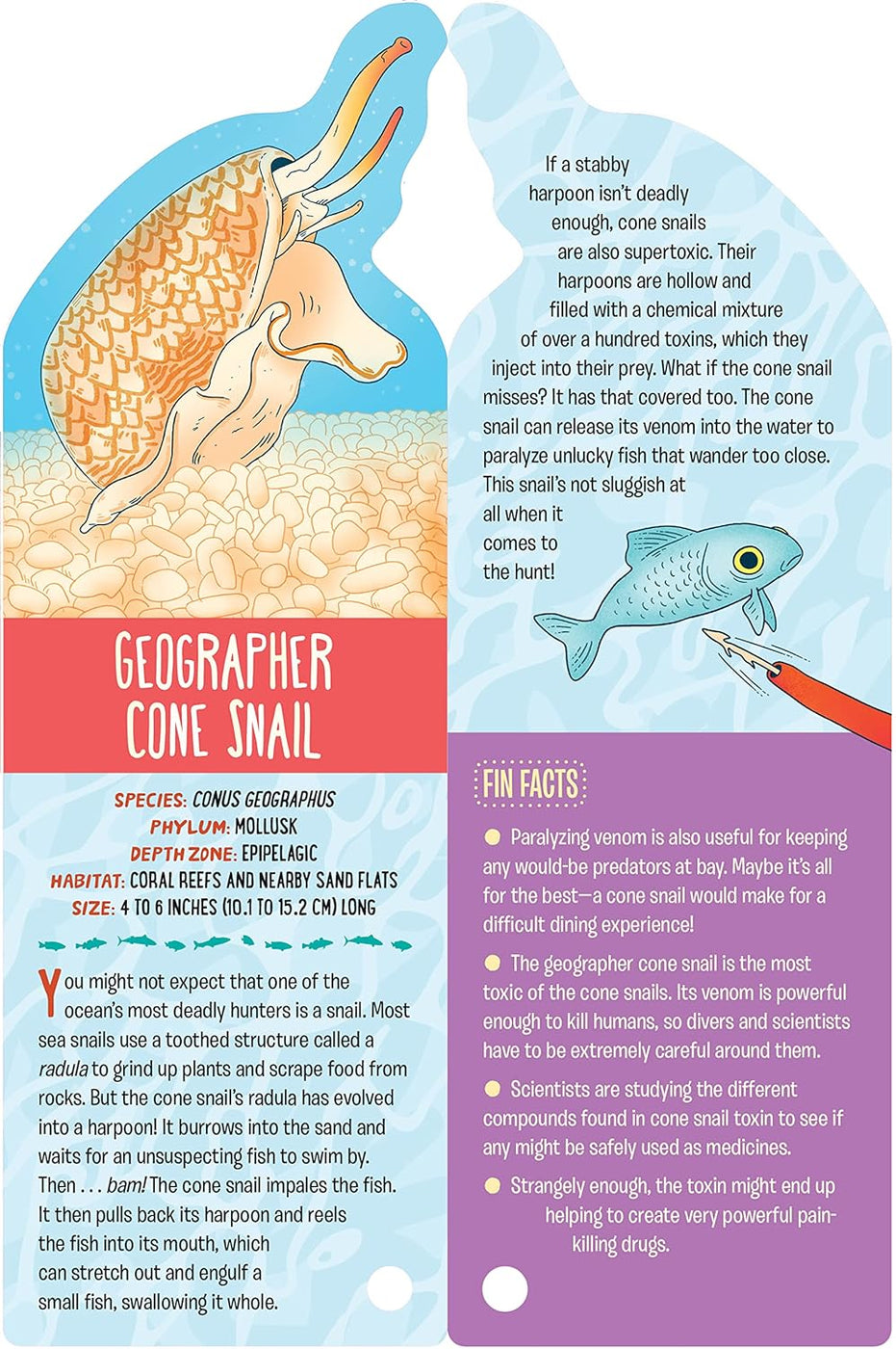 Ocean Fandex - Dive into Marine Life Facts — Nature's Workshop Plus