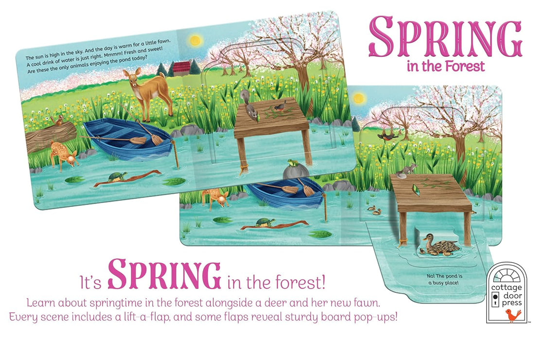 Spring in the Forest