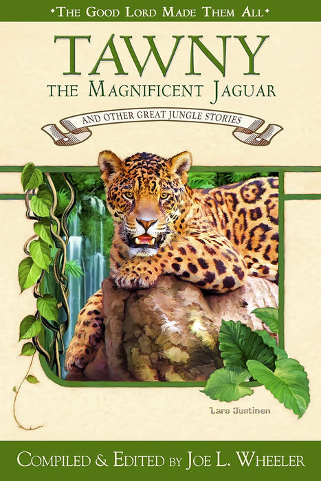 Tawny, the Magnificent Jaguar