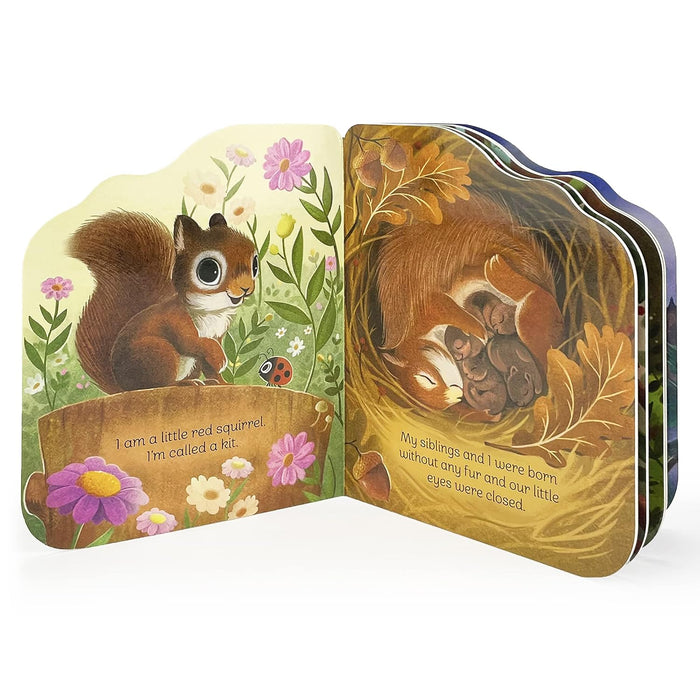 A Little Squirrel