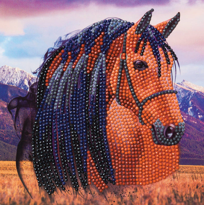 Crystal Art Card Kit: Horse