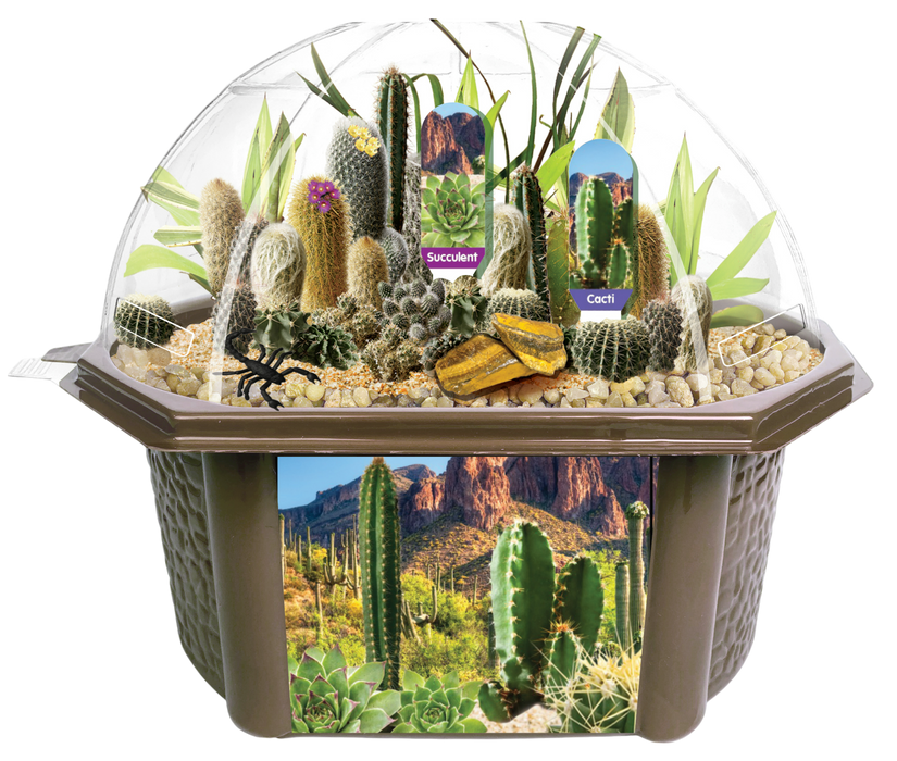 Desert Dome Biosphere Terrarium