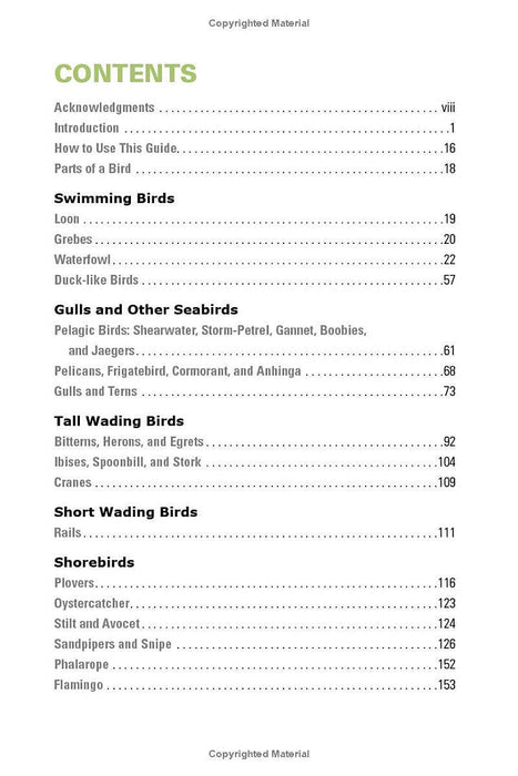 Birding Florida: Falcon Guide