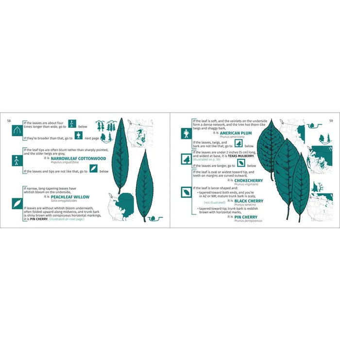 Rocky Mountain Tree Finder