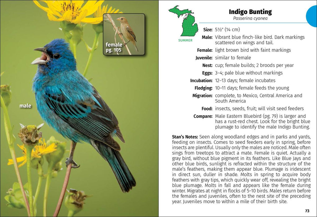 Birds of Michigan