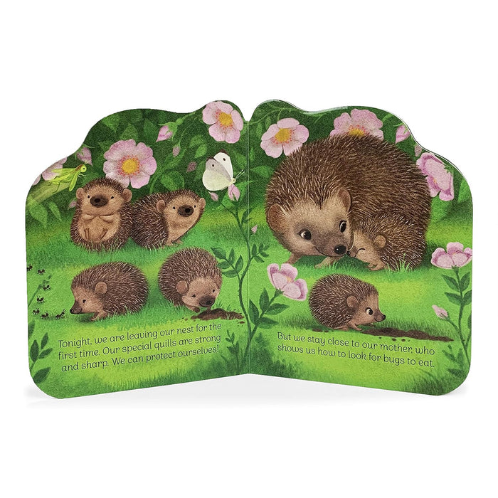 A Little Hedgehog