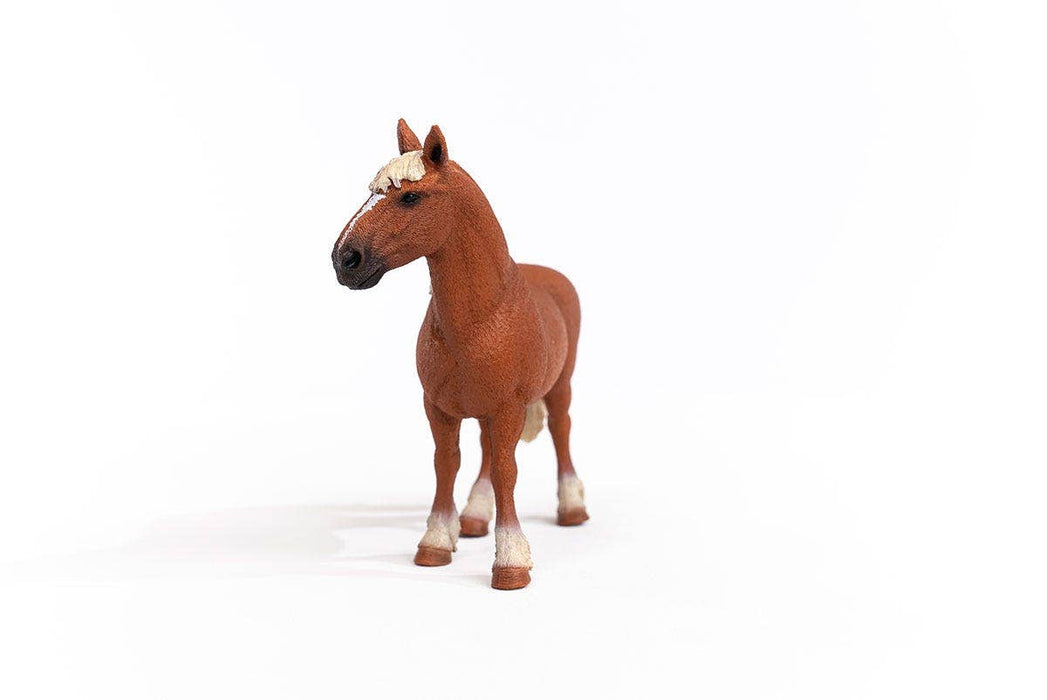 Belgian Draft Horse