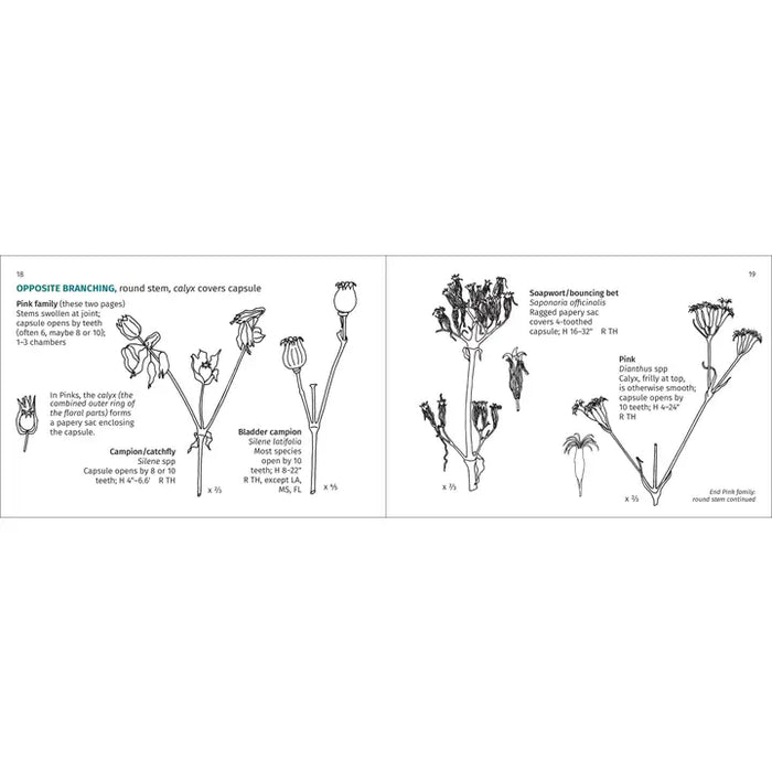 Winter Weed Finder