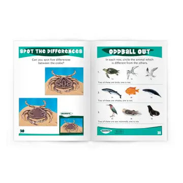 First Seashore Activity Book