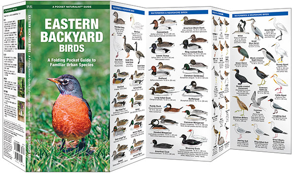 E. Backyard Birds- Pkt Nat