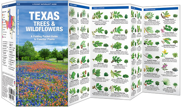 TX Trees & WIldflowers- Pkt Nat