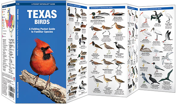 Texas Birds- Pkt Nat