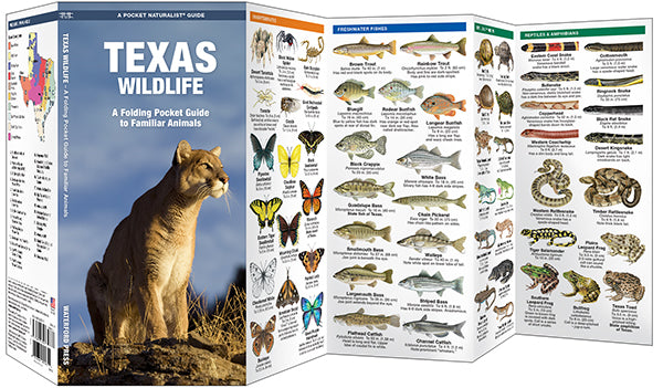 Texas Wildlife- Pkt Nat
