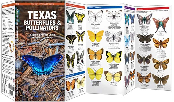 TX Butterflies & Moths- Pkt Nat