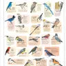 Nature Anatomy Posters