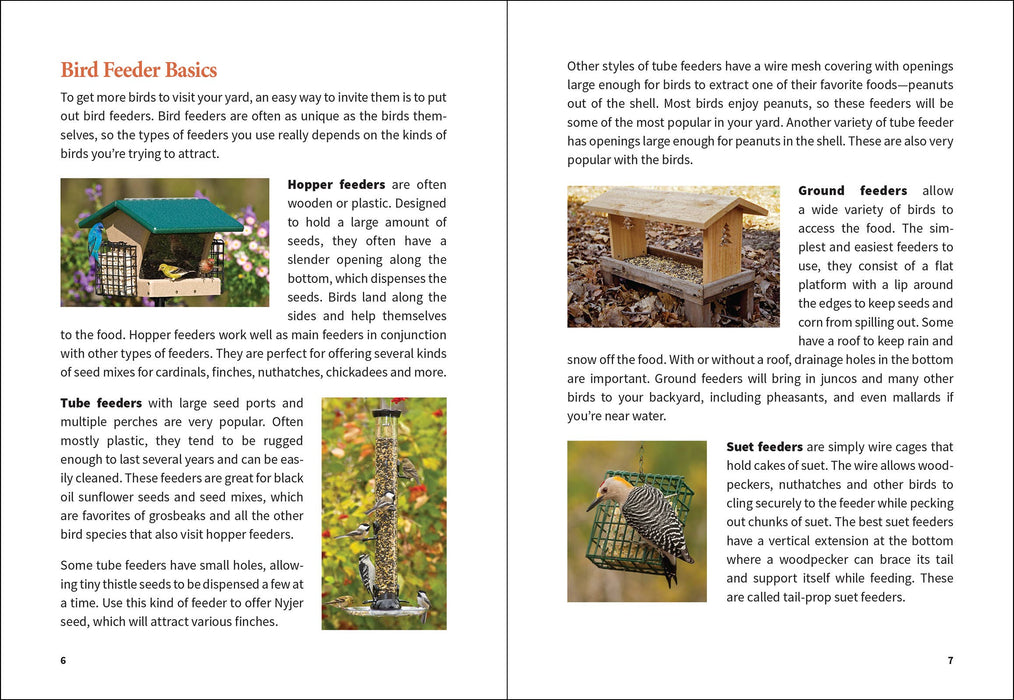 Midwest Birding for Beginners
