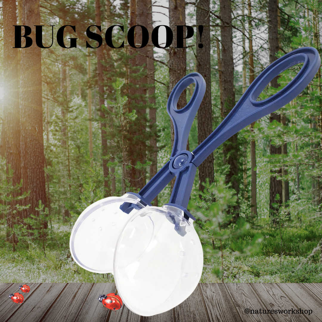 Bug Scoop Tongs - Explore Insects with Ease — Nature's Workshop Plus