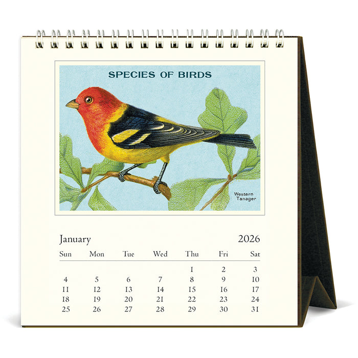 Birds Desk Calendar