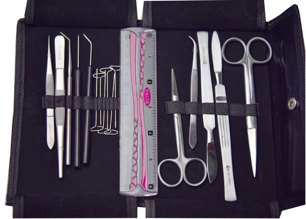 Dissecting Tool Kit — Nature's Workshop Plus