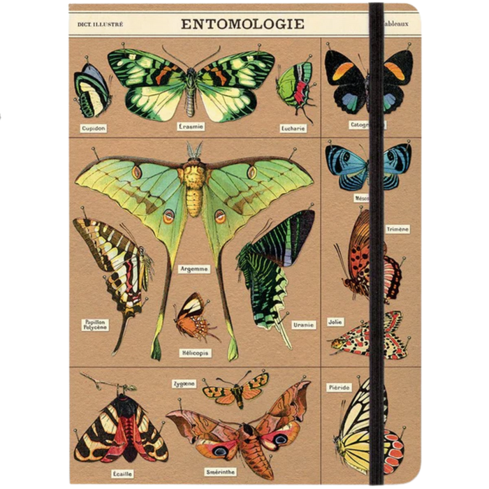 Entomology Notebook