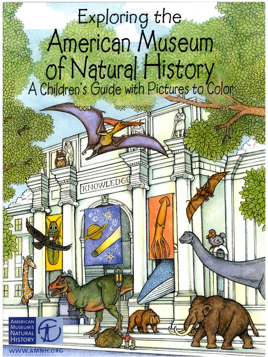 Exploring the Museum of Natural History