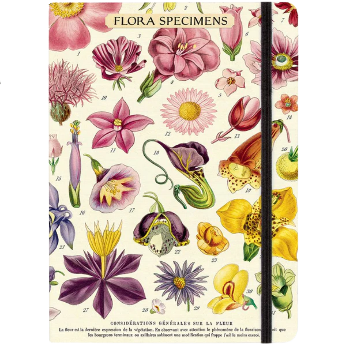 Flora Specimens Notebook — Nature's Workshop Plus