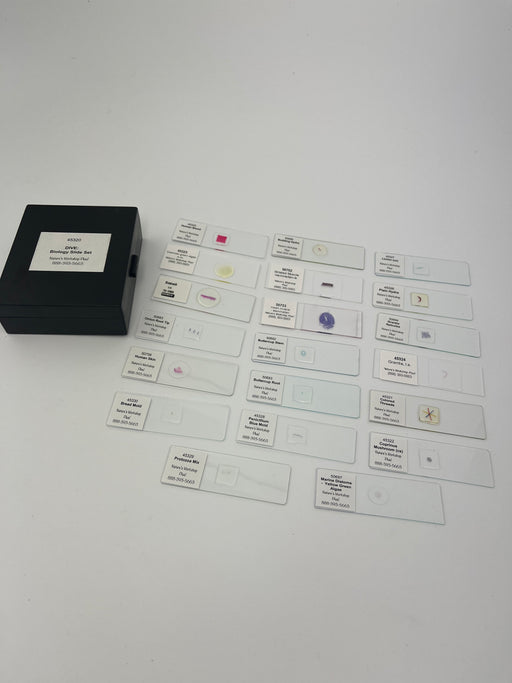 Coin Envelopes — Nature's Workshop Plus