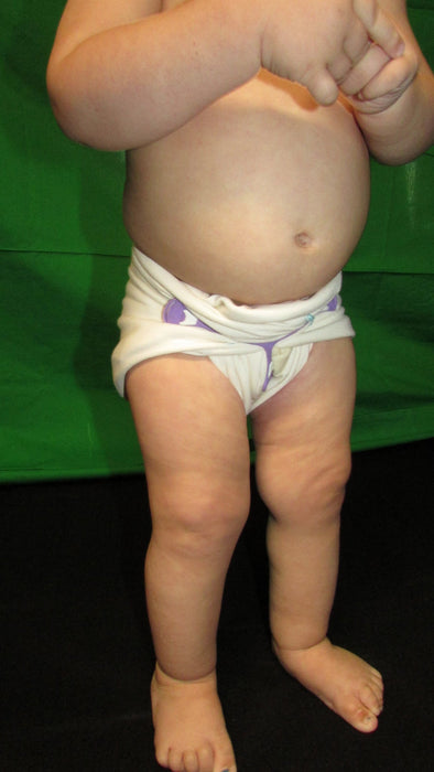 Stretchy flat cloth diapers
