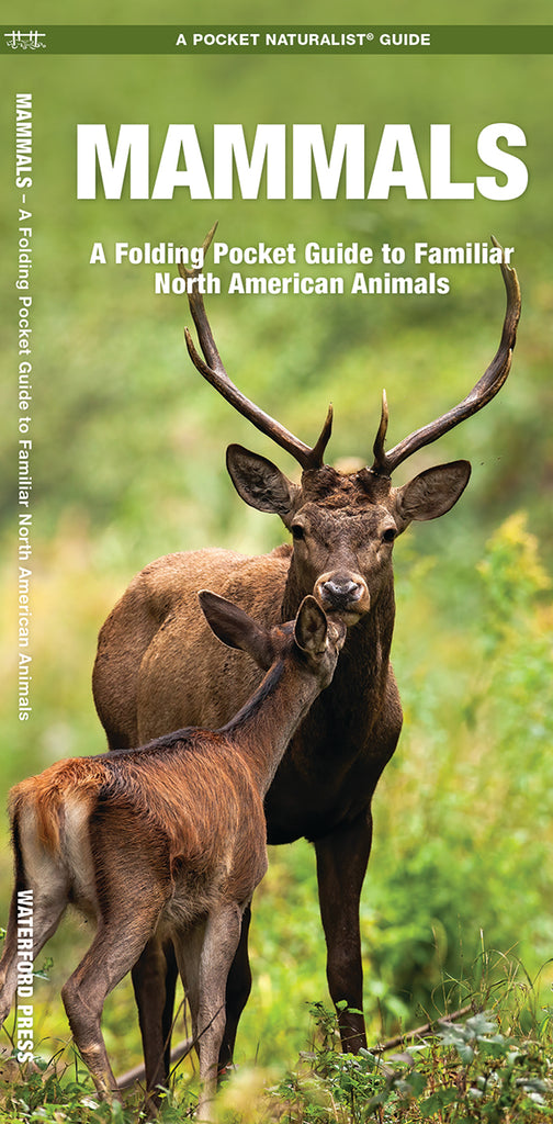 Mammals - Pocket Naturalist Guide — Nature's Workshop Plus