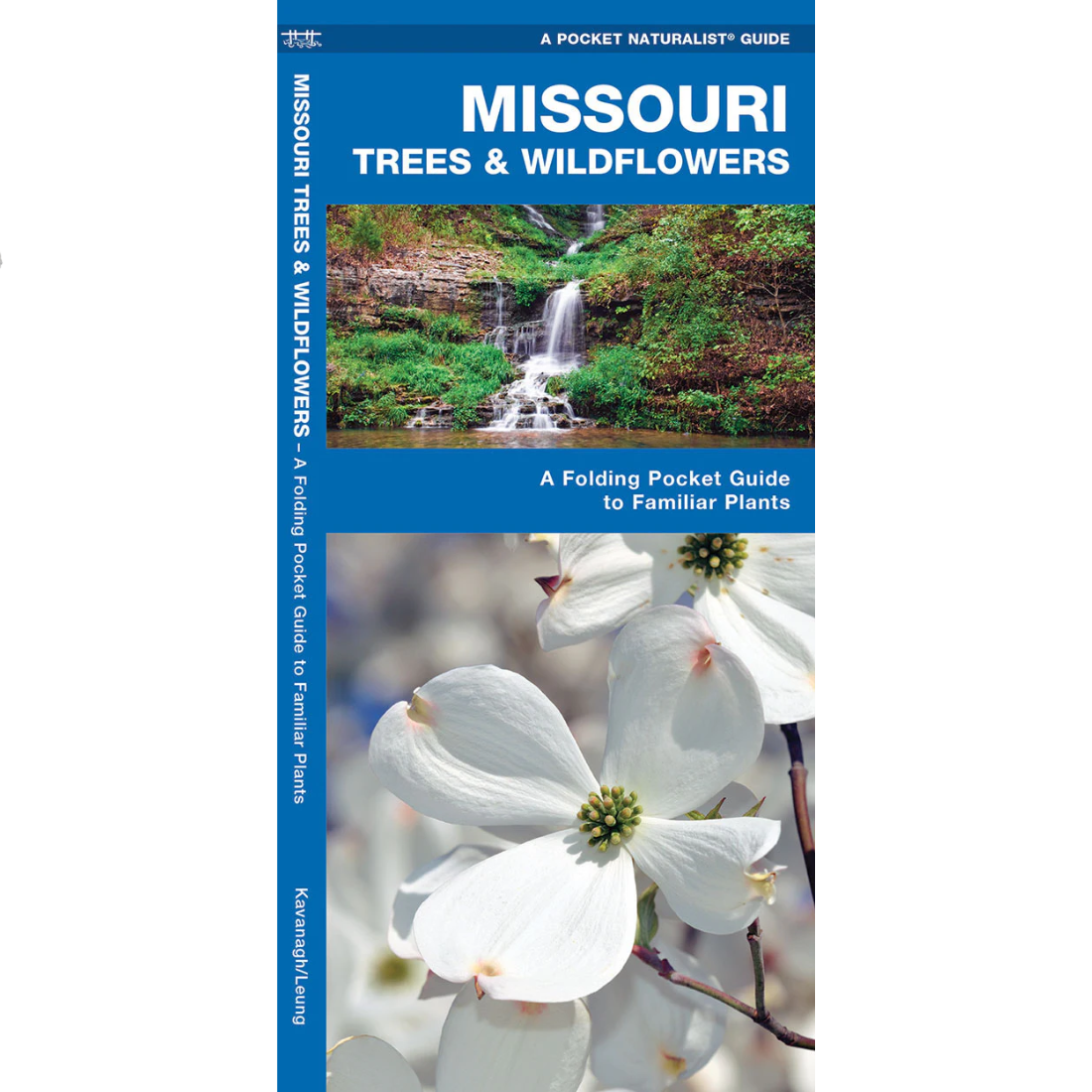 Missouri Trees & Wildflowers - Pocket Naturalist Guide — Nature's