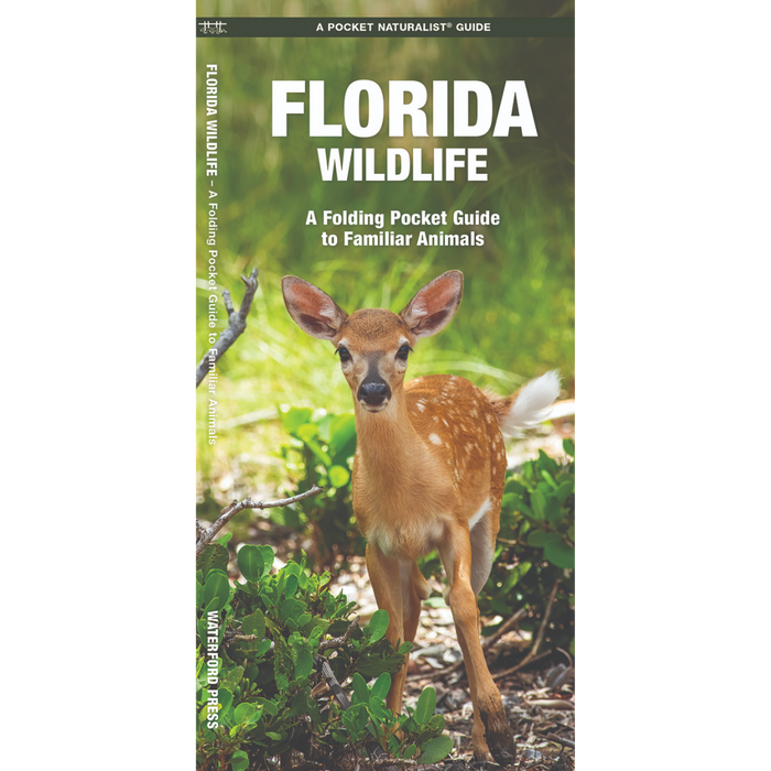 Florida Wildlife- Pkt Nat
