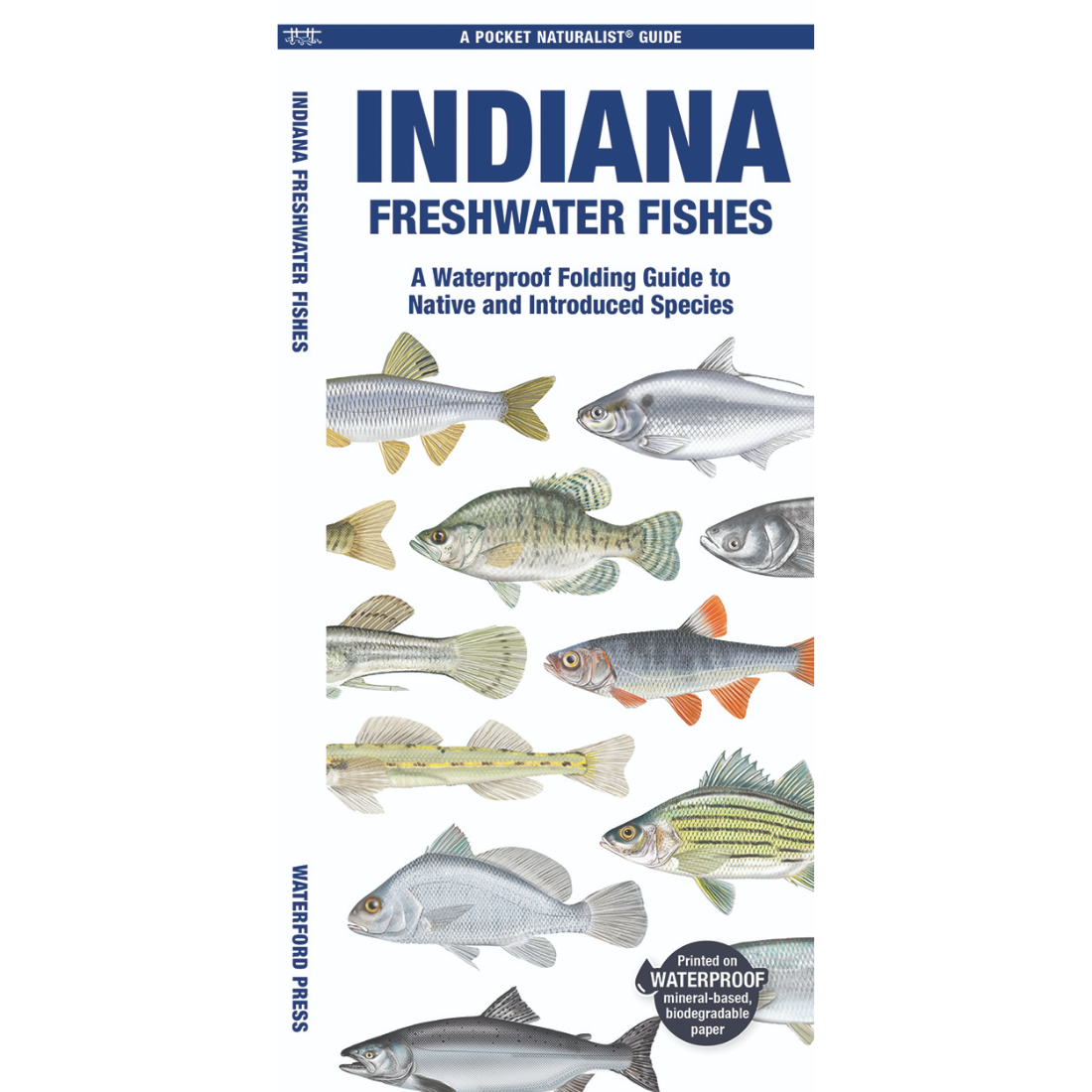 IN Freshwater Fish Pocket Guide - Essential Fishing Info — Nature's ...