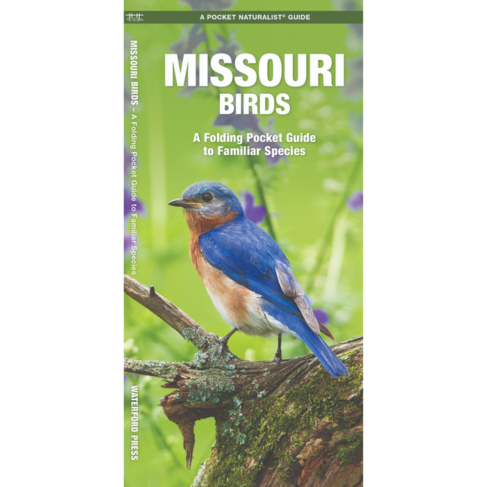 Missouri Birds- Pkt Nat