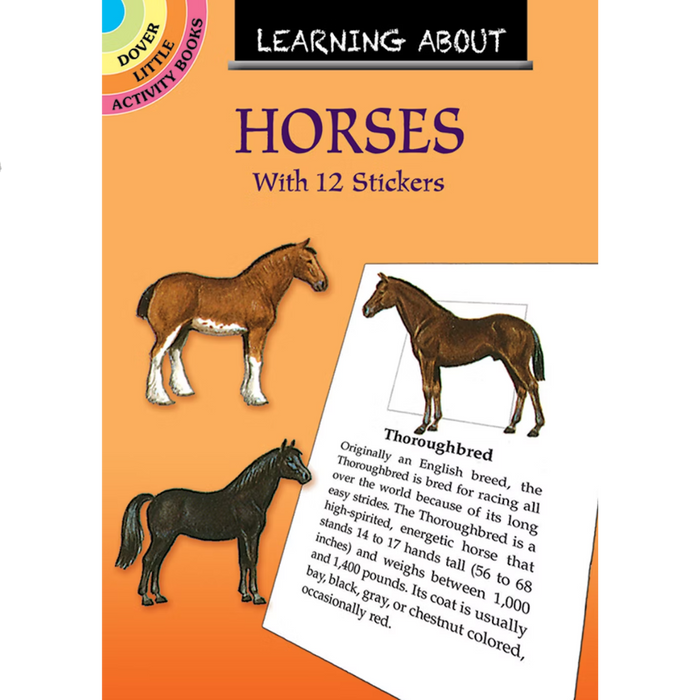 Learning About Horses