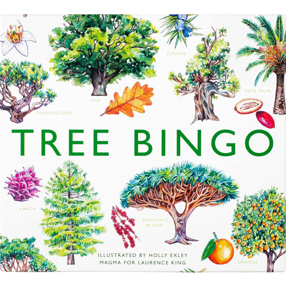 Tree Bingo by Laurence King - Fun Family Activity — Nature's Workshop Plus