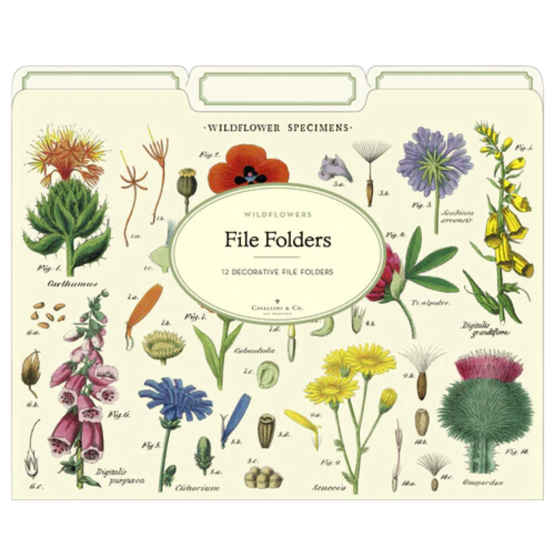 Vintage Wildflowers File Folders - Organize with Floral Designs — Nature's  Workshop Plus, image size:1100x1100