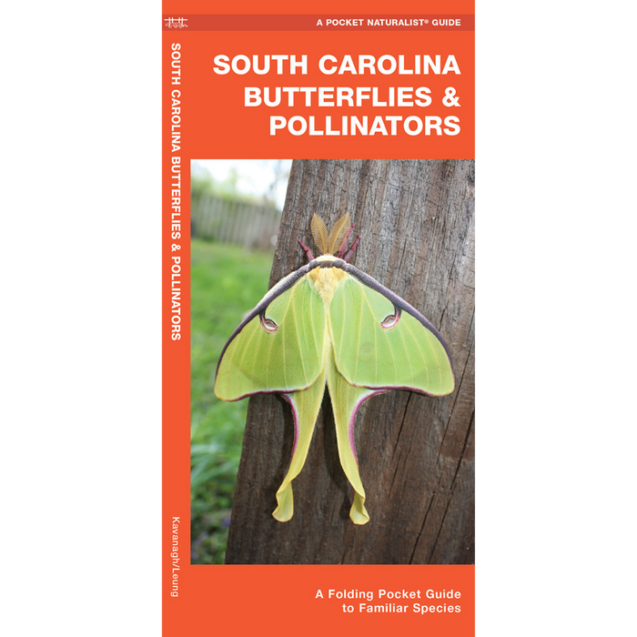South Carolina Butterflies & Moths PN