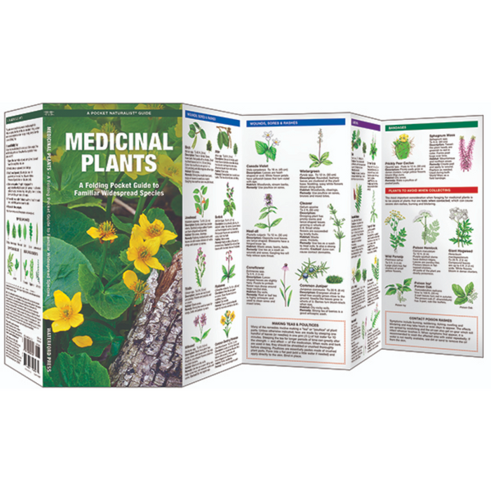 Medicinal Plants- Pkt Nat