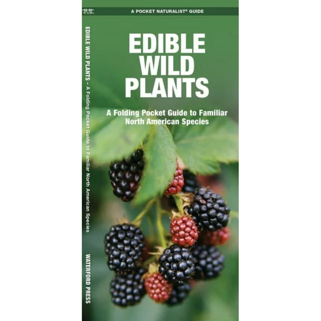 Pocket Naturalist Field Guides