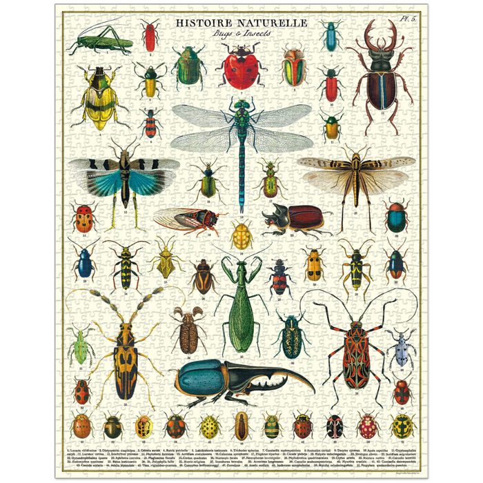 Vintage Bugs Insects Puzzle