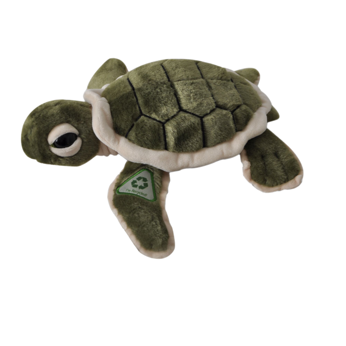 9" Hatchling Sea Turtle