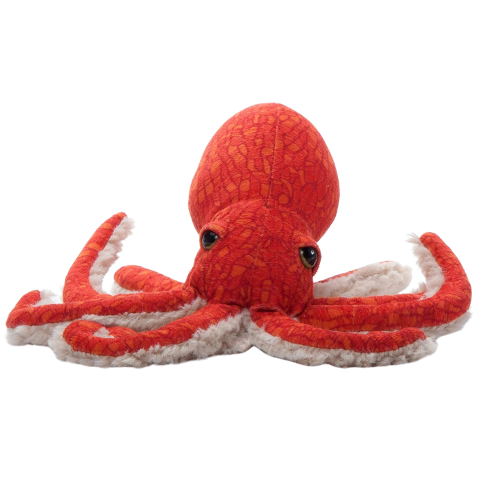 Realistic and fun 8' Pacific Red Octopus — Nature's